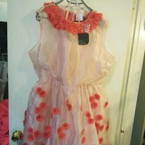 Asos Curve Floral Sheer lined dress